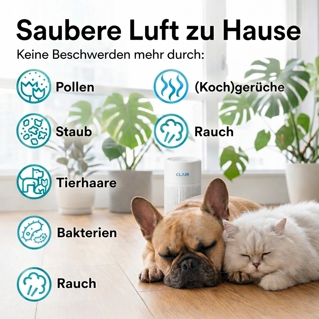 CLAIR Kompakt Luftreiniger